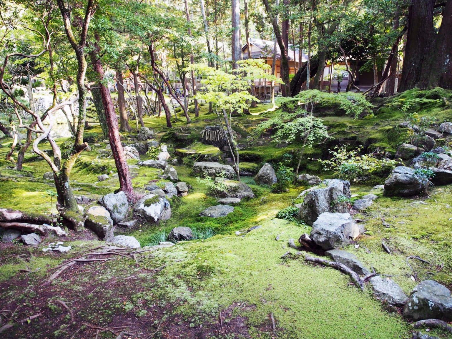 西芳寺庭園（苔寺）の枯山水 - 枯山水めぐり