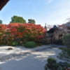 妙顕寺の枯山水庭園