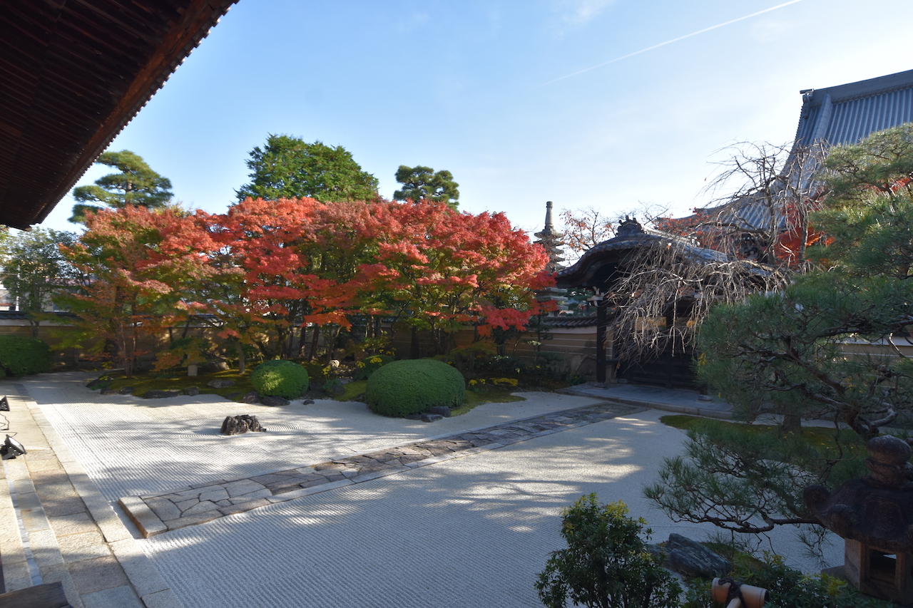 妙顕寺の枯山水庭園