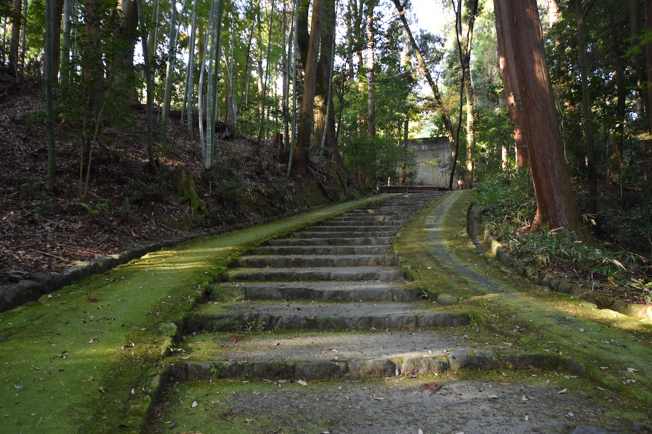 正伝寺の参道