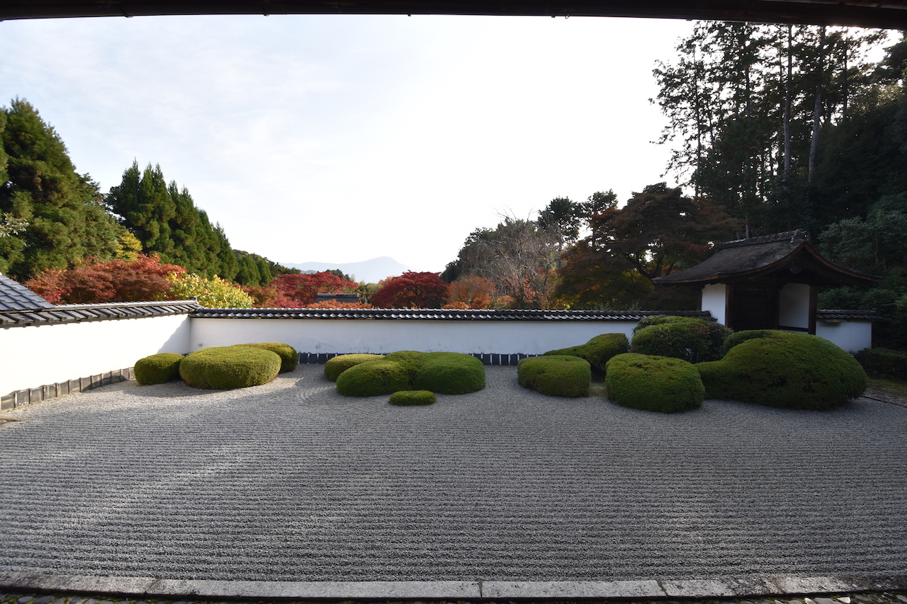正伝寺の枯山水庭園その1