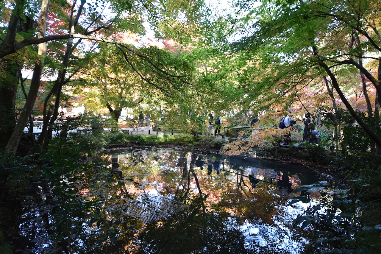 圓光寺の枯山水庭園05