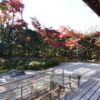金福寺の枯山水庭園