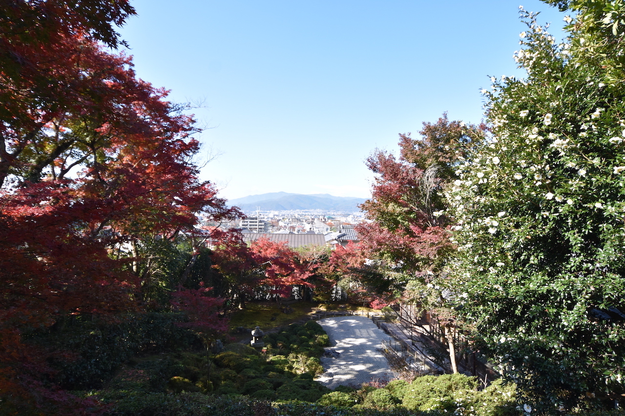 金福寺の枯山水庭園04