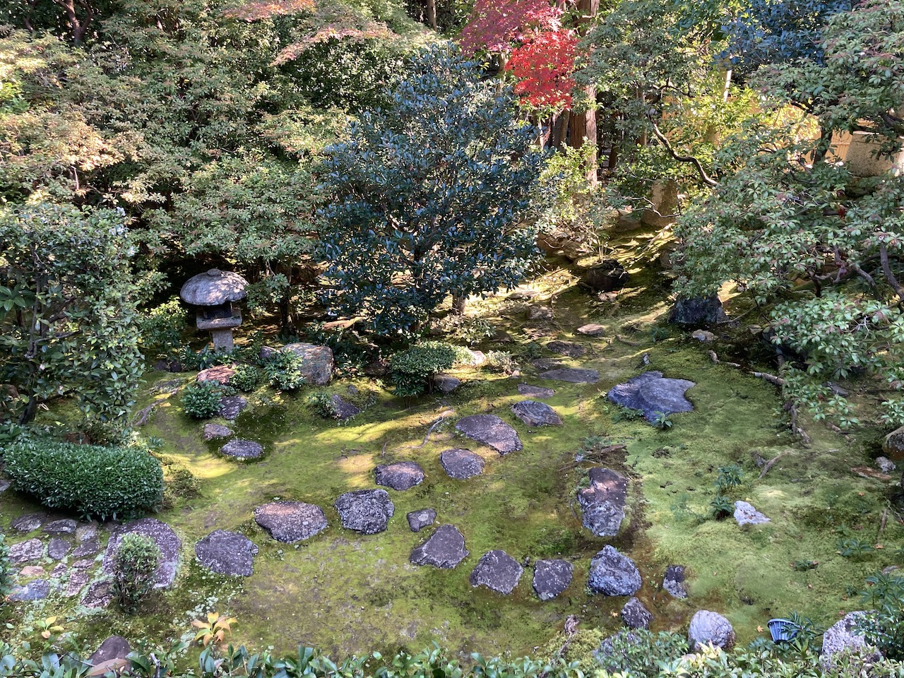 妙心寺桂春院の枯山水庭園10