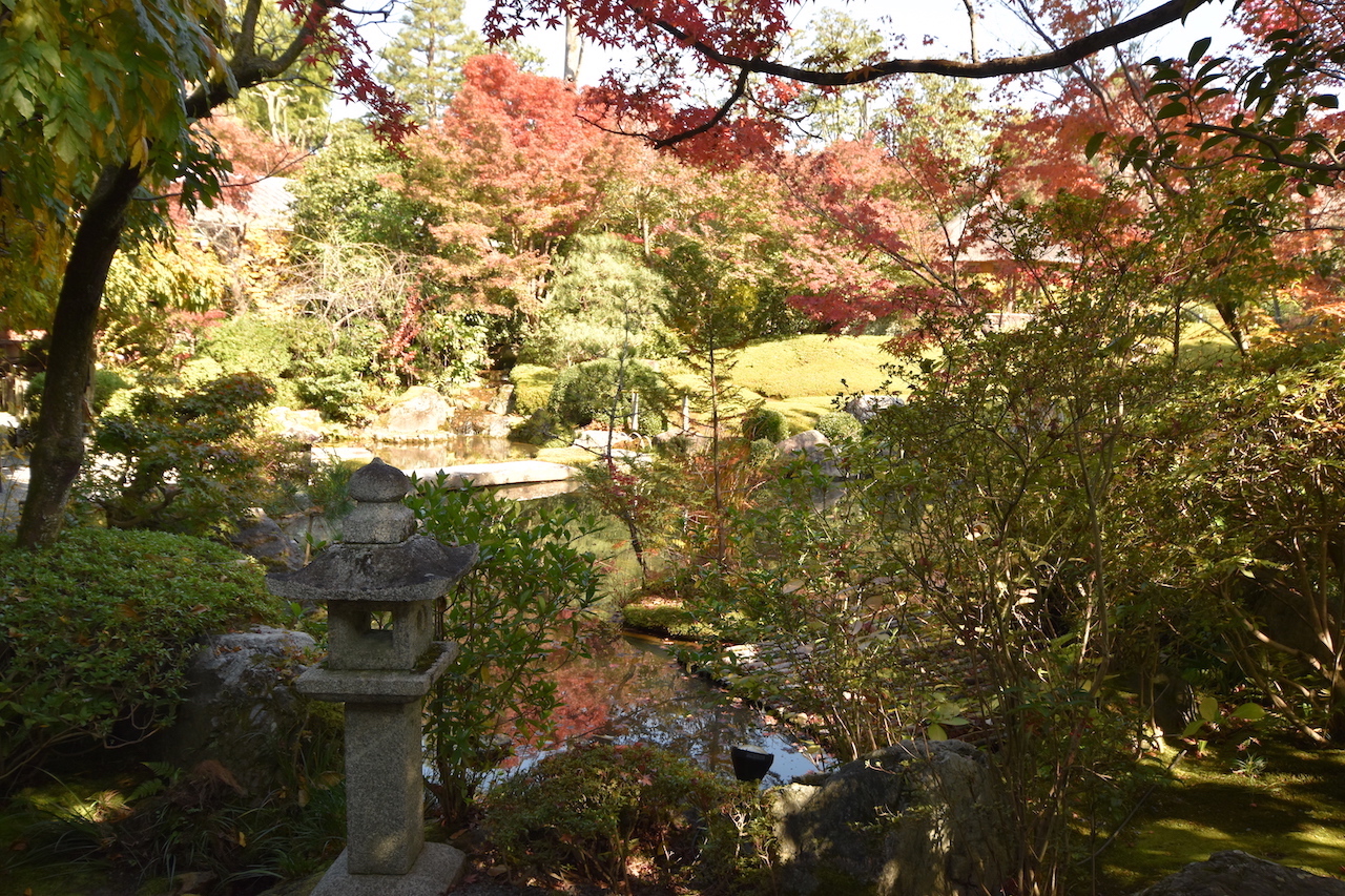 妙心寺退蔵院の枯山水庭園21