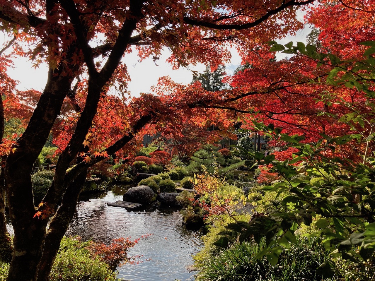 三室戸寺の池泉庭園